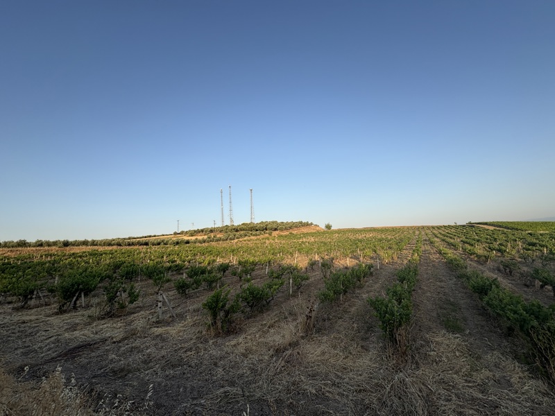 MANİSA SARUHANLI'DA 30.619 M2 SATILIK TARLA (101196475)